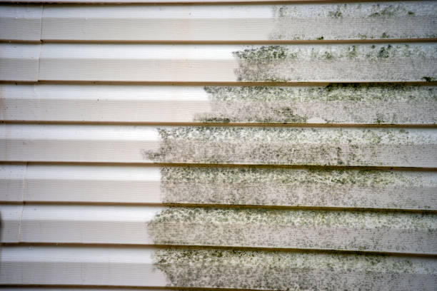 Best Foreclosure Cleanout  in Kings Mountain, NC